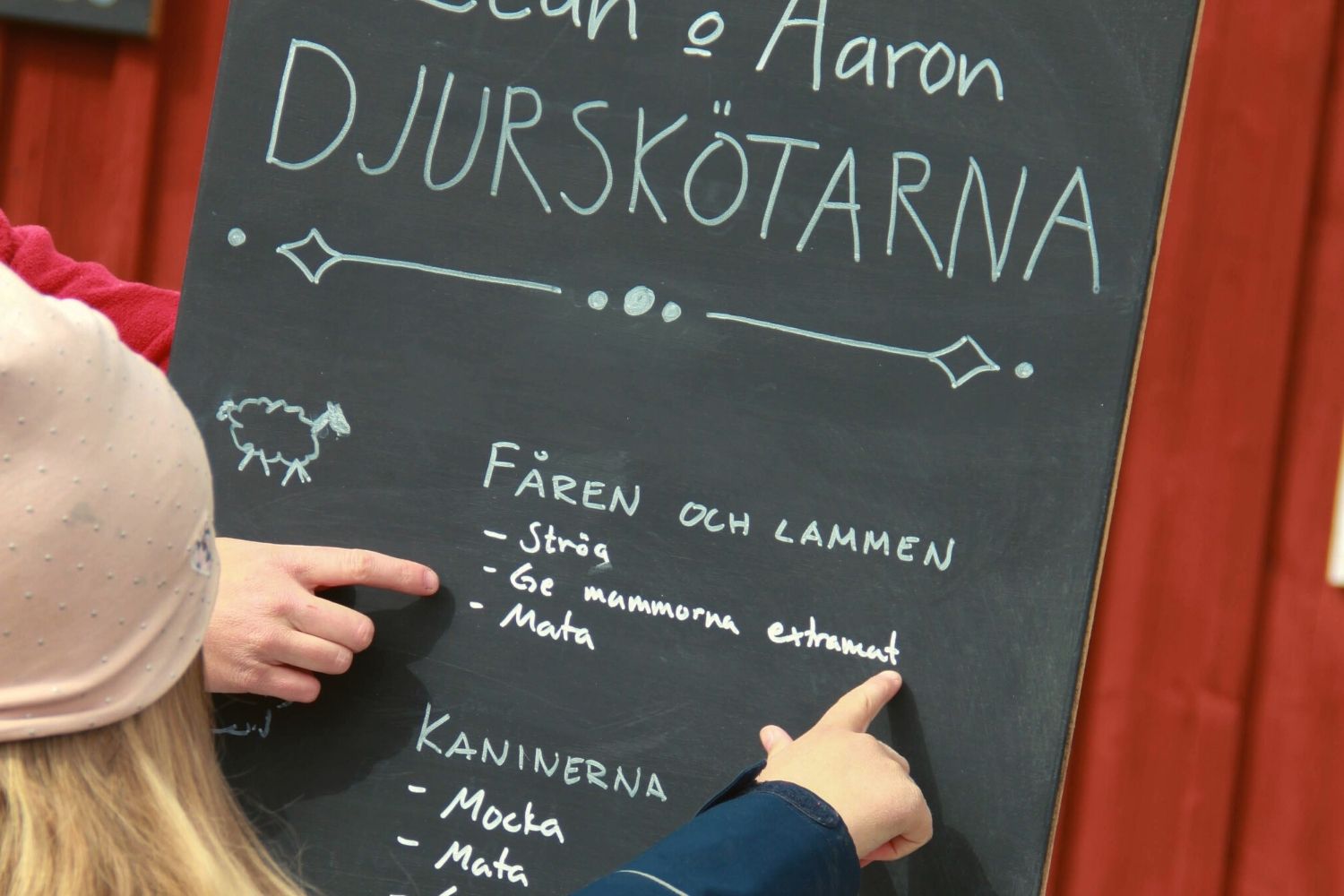Foto: Alexander Norlin